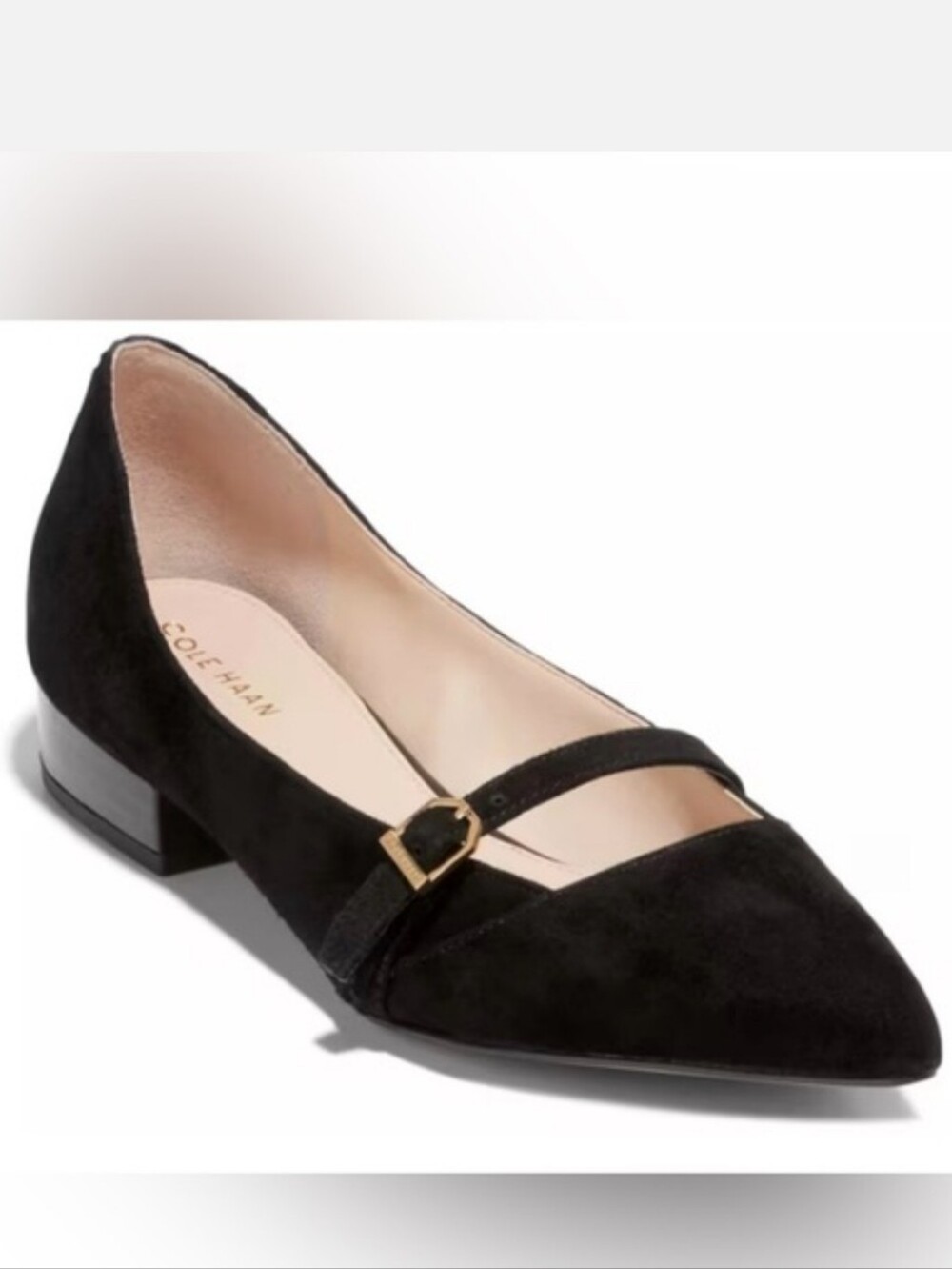 Cole Haan Avina Pointed Toe Suede Maryjane Shoes In Black Size 8.5B